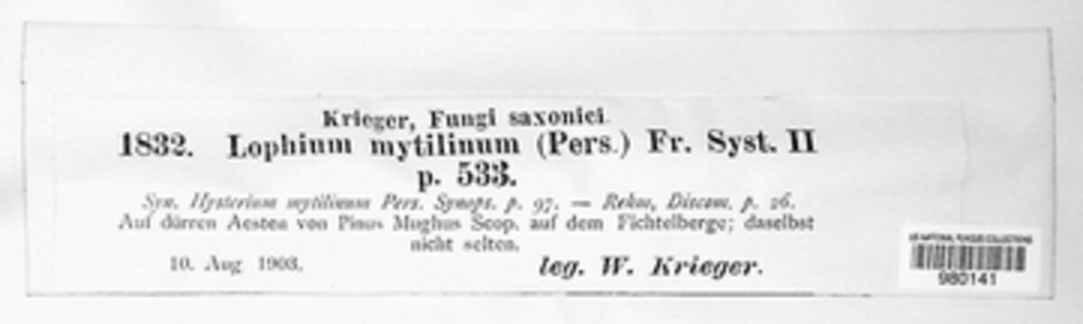 Lophium mytilinum image